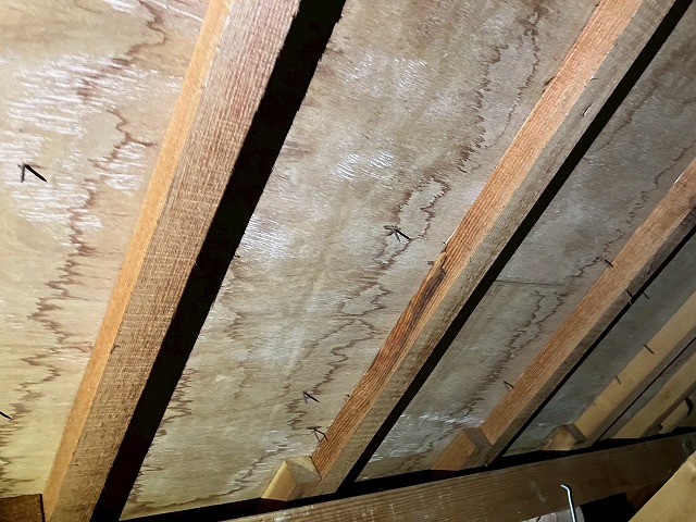 屋根裏の状態確認